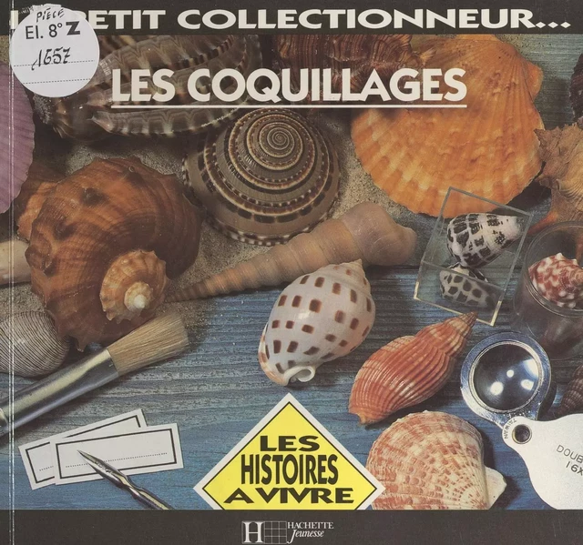 Les coquillages - Françoise Rose - (Hachette Jeunesse) réédition numérique FeniXX