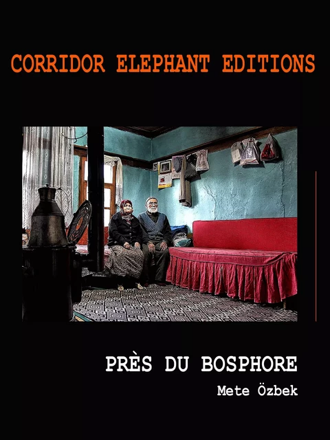 Près du Bosphore - Mete Ozbek - Corridor Elephant