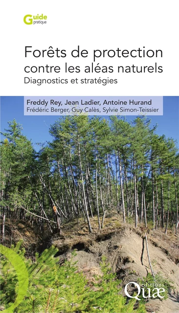 Forêts de protection contre les aléas naturels - Freddy Rey, Antoine Hurand, Frédéric Berger, Sylvie Simon-Teissier, Jean Ladier, Guy Calès - Quae