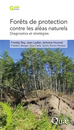 Forêts de protection contre les aléas naturels