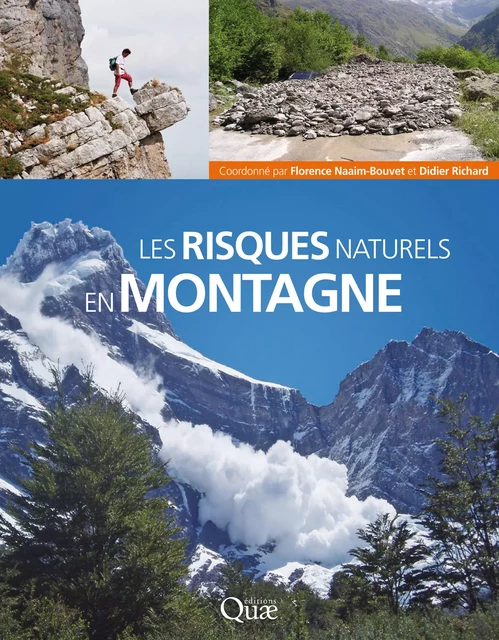 Les risques naturels en montagne - Florence Naaim-Bouvet, Didier Richard - Quae