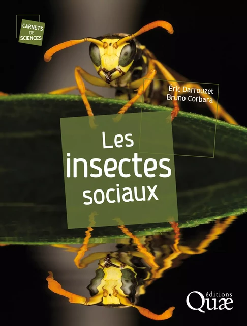 Les insectes sociaux - Eric Darrouzet, Bruno Corbara - Quae