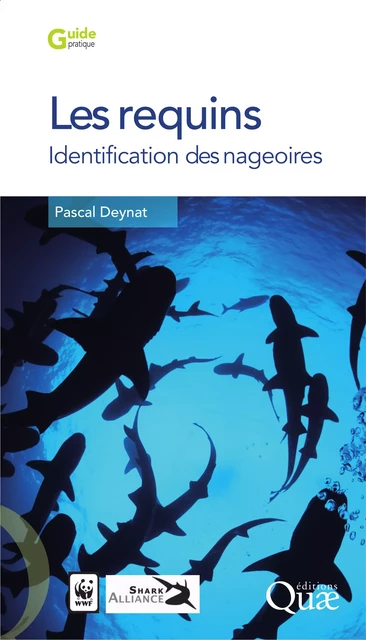 Les requins - Pascal Deynat - Quae