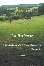 Les ombres de l'Huis Prunelle - Tome 2