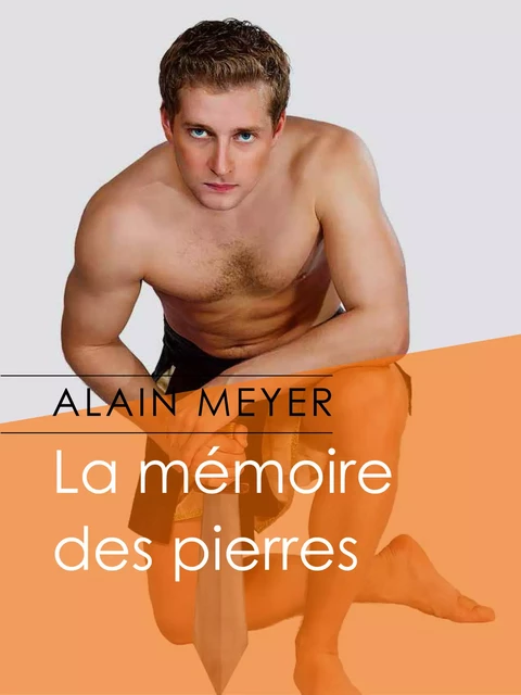 La mémoire des pierres - Alain Meyer - Éditions Textes Gais