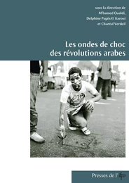 Les ondes de choc des révolutions arabes