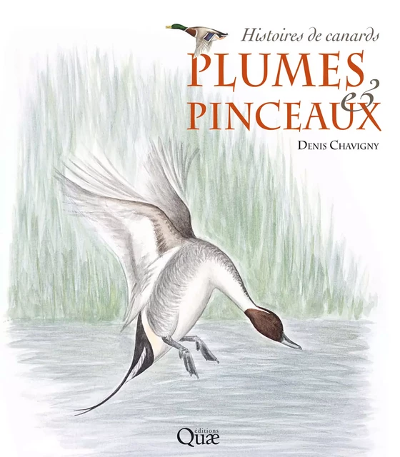 Plumes & pinceaux - Denis Chavigny - Quae