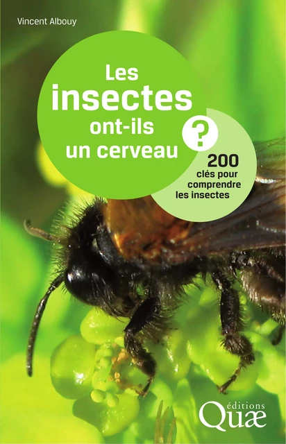 Les insectes ont-ils un cerveau ? - Vincent Albouy - Quae