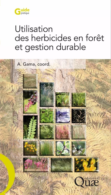 Utilisation des herbicides en forêt et gestion durable - Antoine Gama - Quae