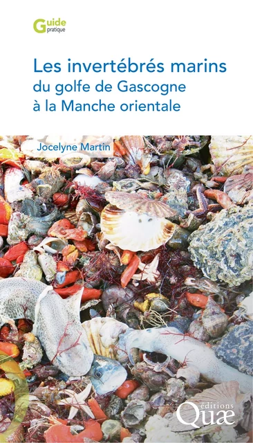 Les invertébrés marins du golfe de Gascogne à la Manche orientale - Jocelyne Martin - Quae