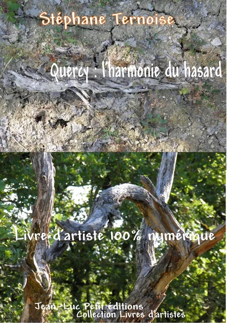 Quercy : l'harmonie du hasard - Stéphane Ternoise - Jean-Luc PETIT Editions