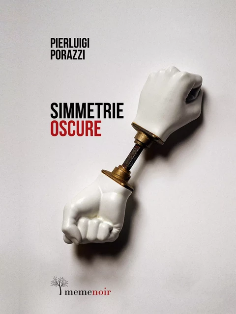 Simmetrie oscure - Pierluigi Porazzi - meme publishers