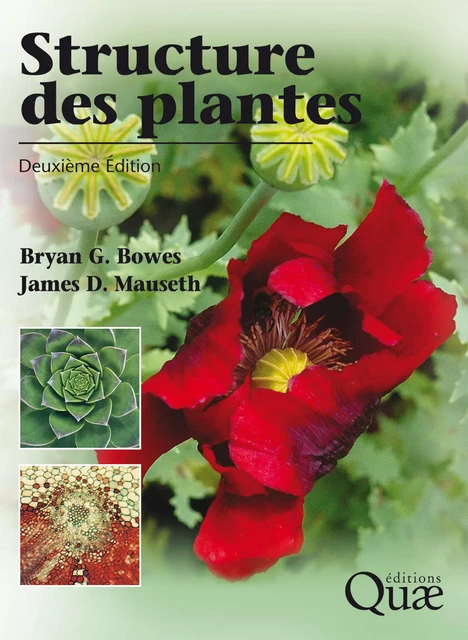 Structure des plantes - Bryan G. Bowes, James D. Mauseth - Quae