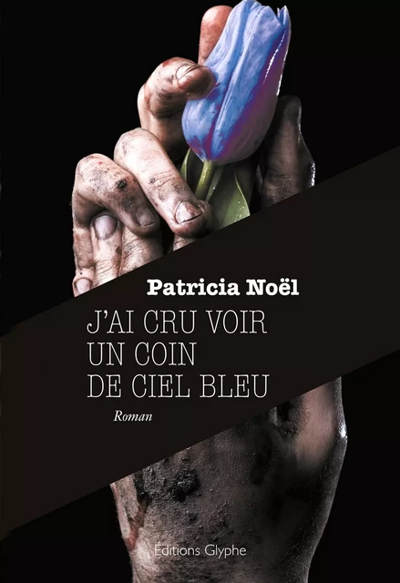 J'ai cru voir un coin de ciel bleu - Patricia Noël - Glyphe