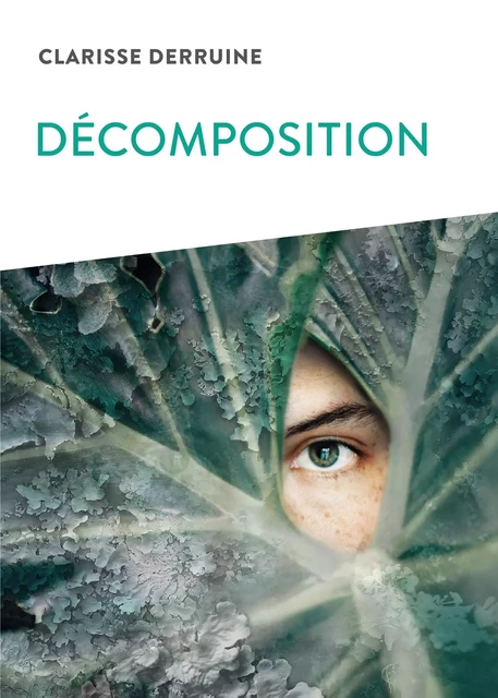 Décomposition - Clarisse Derruine - Ker