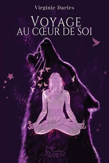 Un voyage au coeur de soi - Virginie Daries - Distribulivre