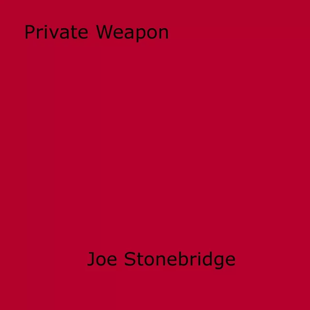 Private Weapon - Joe Stonebridge - Disruptive Publishing