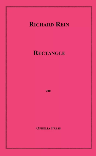 Rectangle - Richard Rein - Disruptive Publishing