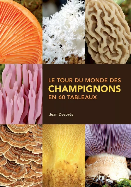 Le tour du monde des champignons en 60 tableaux - Jean Després - Presses de l'Université de Montréal