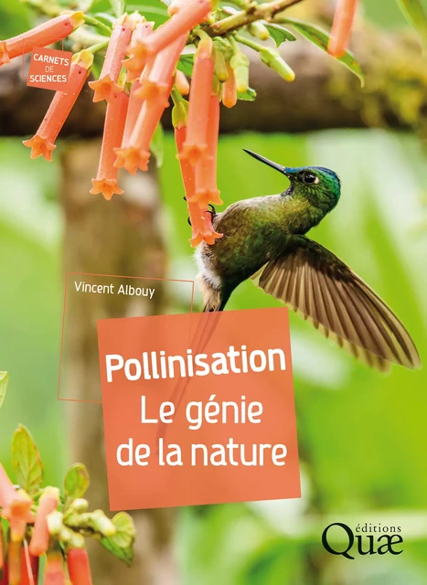 Pollinisation - Vincent Albouy - Quae