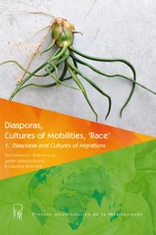 Diasporas, Cultures of Mobilities, ‘Race’ 1