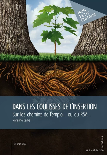 Dans les coulisses de l'insertion - Marianne Barbe - Mon Petit Editeur