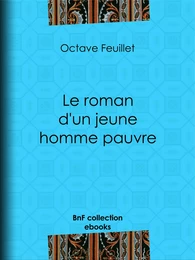 Le roman d'un jeune homme pauvre