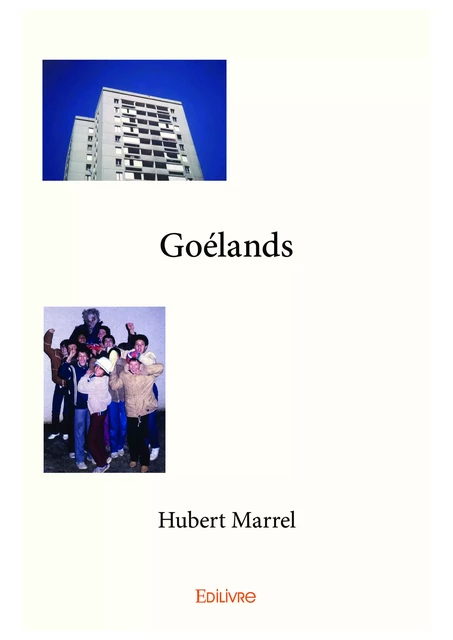 Goélands - Hubert Marrel - Editions Edilivre