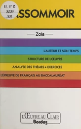 L'assommoir, Zola