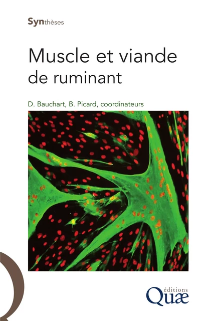 Muscle et viande de ruminant - Dominique Bauchart, Brigitte Picard - Quae