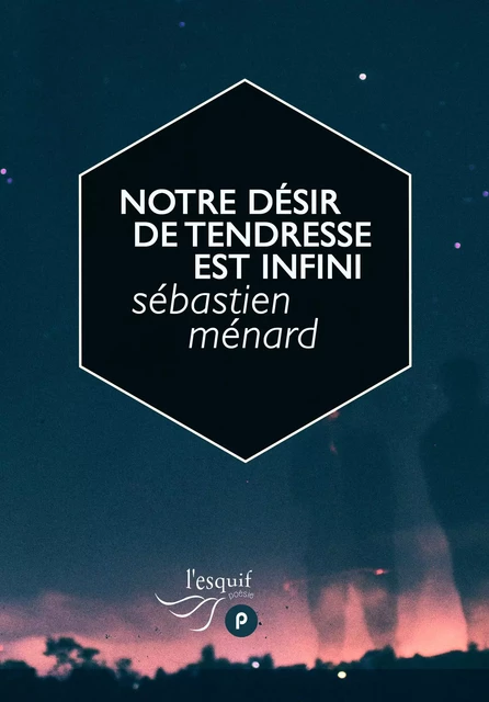 Notre désir de tendresse est infini - Sébastien Ménard Sébastien Ménard - publie.net