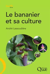 Le bananier et sa culture