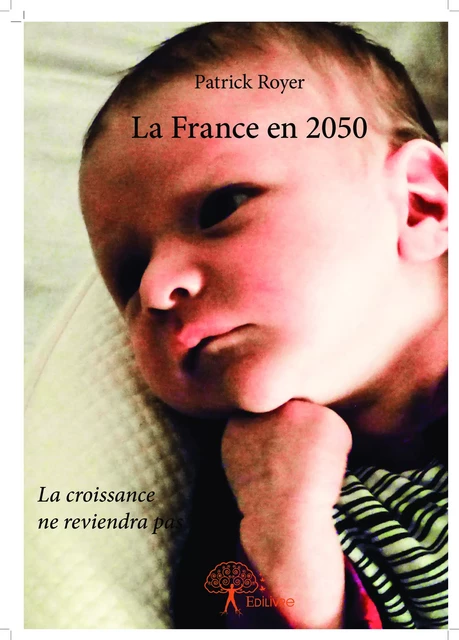 La France en 2050 - Patrick Royer - Editions Edilivre