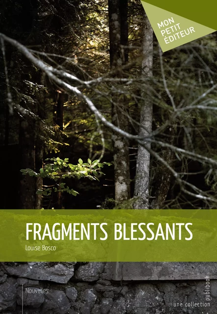 Fragments blessants - Louise Bosco - Mon Petit Editeur