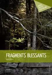 Fragments blessants