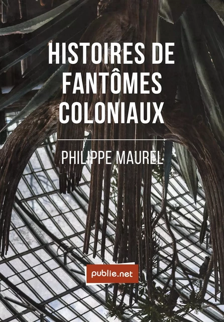 Histoires de fantômes coloniaux - Philippe Maurel - publie.net