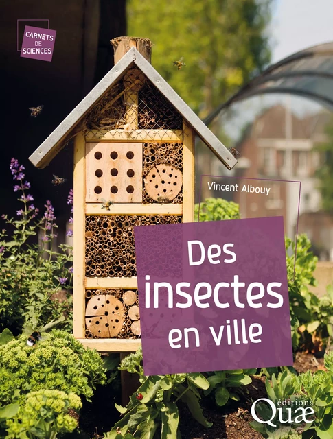 Des insectes en ville - Vincent Albouy - Quae