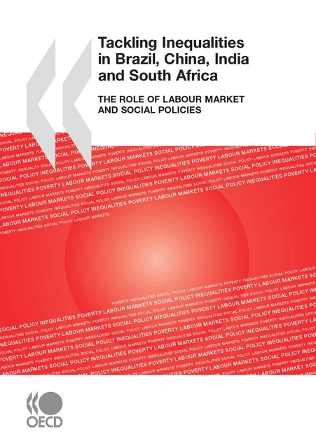 Tackling Inequalities in Brazil, China, India and South Africa 2010 -  Collective - OECD