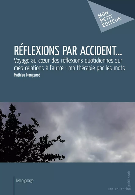 Réflexions par accident - Mathieu Mangenot - Mon Petit Editeur