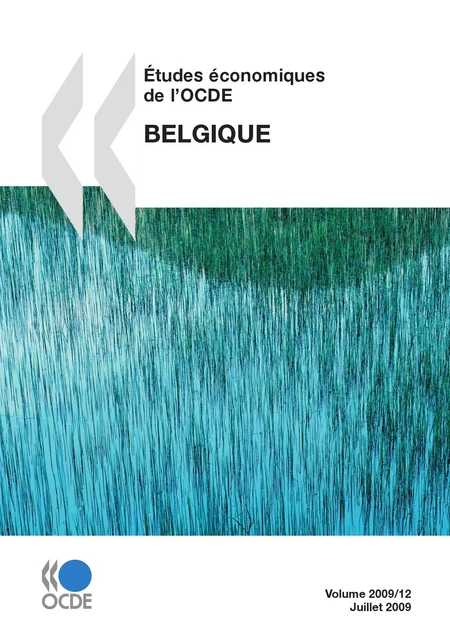 Études économiques de l'OCDE : Belgique 2009 -  Collectif - OECD