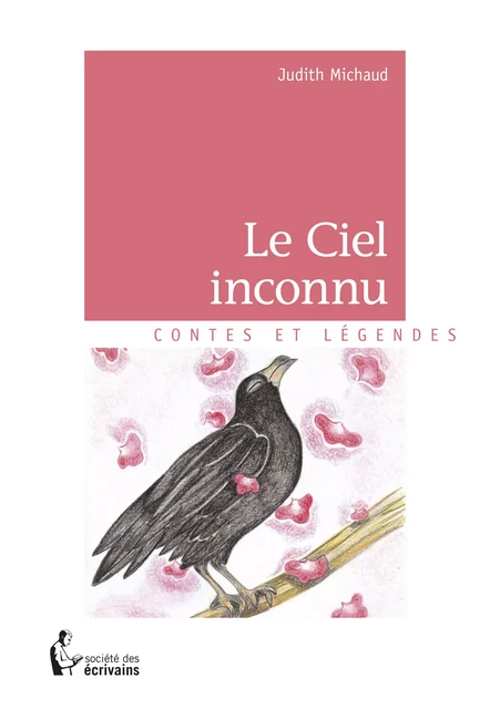 Le Ciel inconnu - Judith Michaud - Société des écrivains