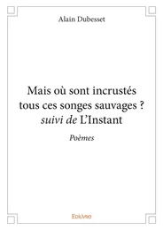 Mais où sont incrustés tous ces songes sauvages ? suivi de L'Instant