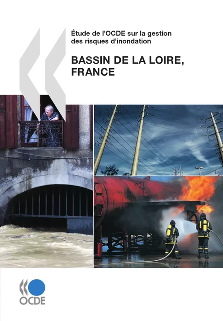 Étude de l’OCDE sur la gestion des risques d’inondation: Bassin de la Loire, France 2010 -  Collective - OECD