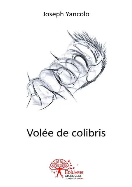 Volée de colibris - Joseph Yancolo - Editions Edilivre