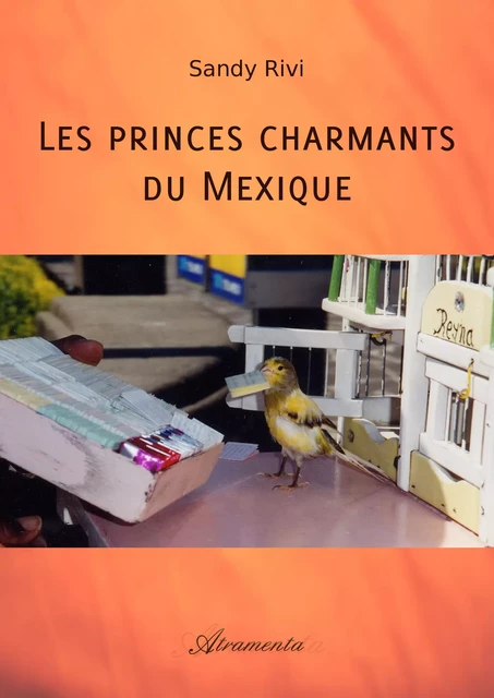 Les princes charmants du Mexique - Sandy Rivi - Atramenta