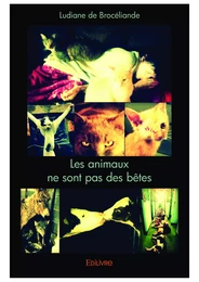 Les animaux ne sont pas des bêtes