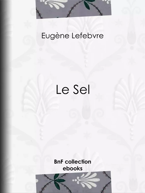 Le Sel - Eugène Lefebvre - BnF collection ebooks