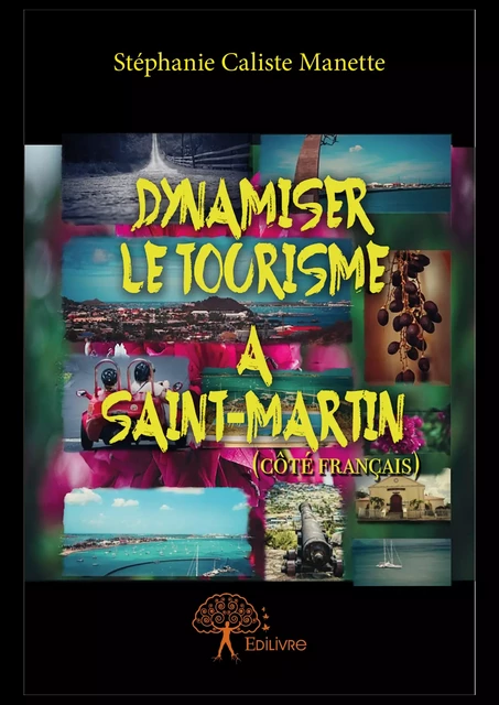 Dynamiser le tourisme à Saint-Martin côté français - Stéphanie Caliste Manette - Editions Edilivre