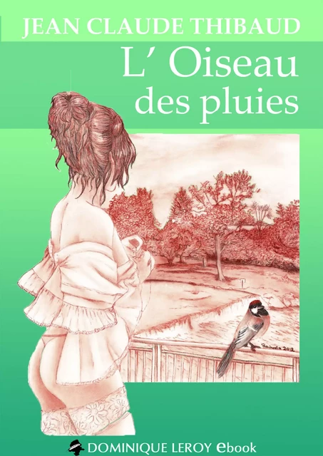 L'Oiseau des pluies - Jean Claude Thibaud - Éditions Dominique Leroy