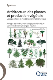 Architecture des plantes et production végétale